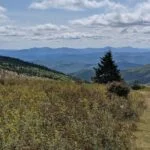 Stealth Camping Spots