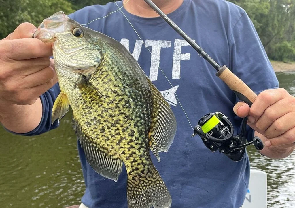 Best Ultralight Spinning Reel For Hiking And Camping